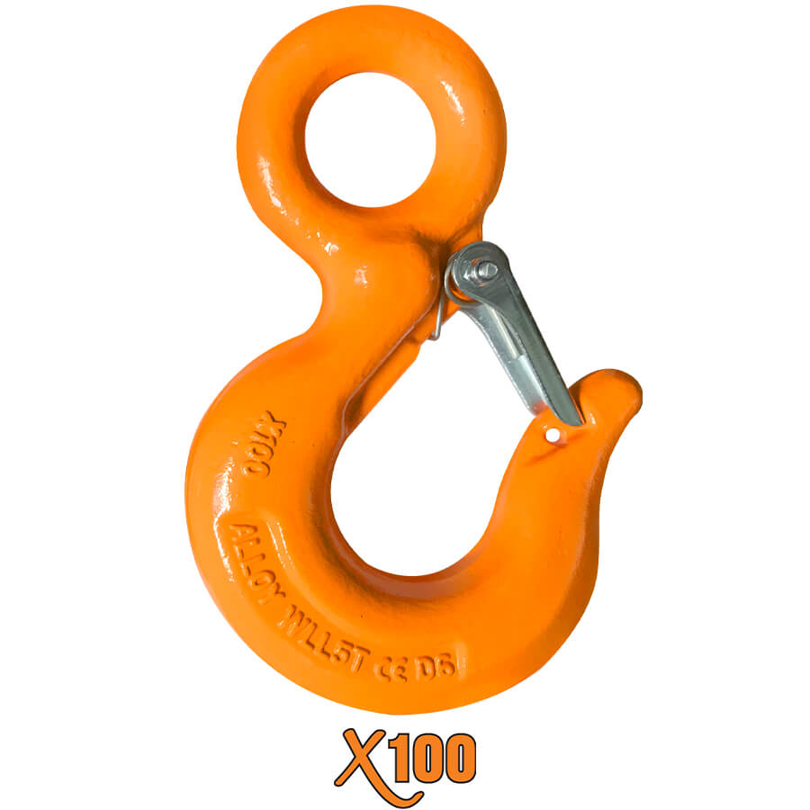 X100® Fixed Eye Hoist Hook with Latch